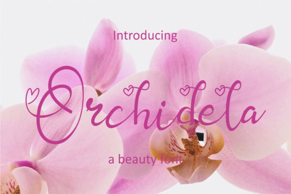 Orchidela: Elegant Script Font for Business Branding