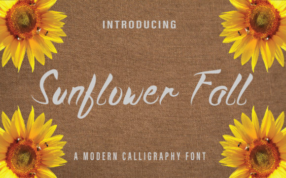 Sunflower Fall Font Review