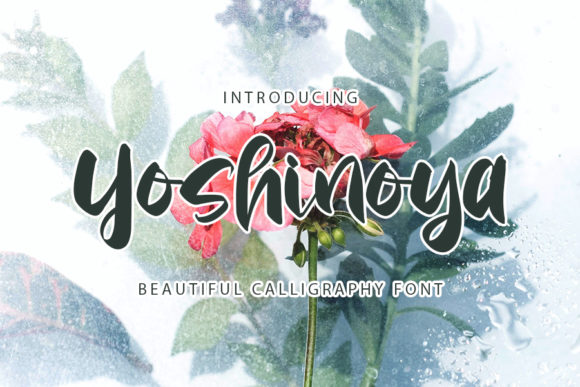 Yoshinoya: A Bold Script for Elegant Branding